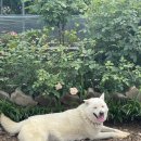 종현 건축사사무소 이미지