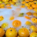 용인대점프태권도 이미지