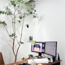 에이치헤어의원 | 경험에서 느낀 강남 모발이식, 에이치헤어의원 후기