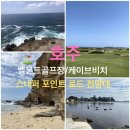 독일미 | 호주/시드니/벨몬트 골프장/케이브 비치/스내퍼 포인트 로드 전망대(서이추환영😃/)