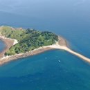 내파수도 충남일보
