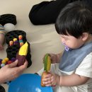 행꼬(행복한 꼬마 거북이) 이미지