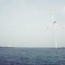 신창싱계물 이미지