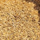 신진정미소 이미지