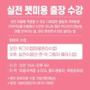 루이앤독 이미지