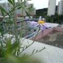 목화소아청소년과의원 이미지