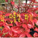 마을회관 앞, 놀이터 앞 이미지