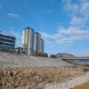 보석탕후루 송파점 | 2025 트렌드코리아 서평 솔직한 후기