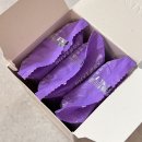 파이토알엑스 이뮨 빌베리 솔직후기 맛있게 먹는 법