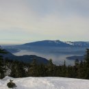 morning soft 이미지