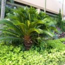 골드코스트 호텔 이미지