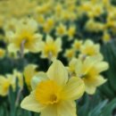 창리꽃게장굴밥집 이미지