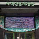 녹색미래창조연합