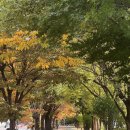 휴스테이 청주 | 11월 일상 낋여옴 드셔보셔