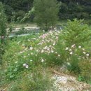 가송민박 이미지