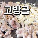 고방골오리 이미지