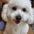 별사랑동물병원 이미지