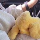 무양반려동물병원 이미지