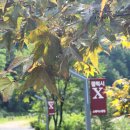 갤럭시엑스 스페이스 캠핑 이미지