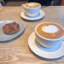 카페&사람 | 공덕 로스터리 카페 후기｜🌸 벚꽃 시즌 사람 많은 카페 대신, 조용한 경의선숲길 카페 (내돈내산)