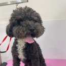 이뻐질개 이미지