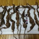 봉곡동142 이미지