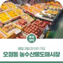 오정농수산물도매시장관리사업소 이미지