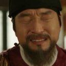 뿌리깊은 나무 이미지