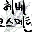엘뷰티 남포점