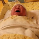 사북면 행정복지센터 이미지