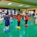 한국체대 비전태권도 이미지