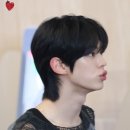 데이즈안