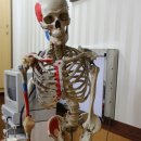 월드경희한의원 이미지