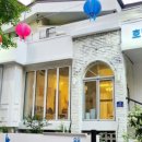 오묘 고양이카페호텔미용 이미지