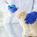 이즈 동물병원 이미지