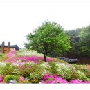 송암건축 | 안심사