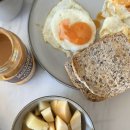 돈 벅 | 2일차 퍼핑빌리, 마루동물원, 필립아일랜드🐧펭귄 퇴근길 내돈내산 후기! (야생동물 엄청 만나 행-벅😍)