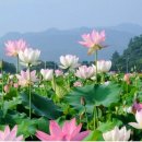 문호장 사당 | 5월 5일 단오에대하여 ...