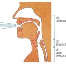우리운동구사
