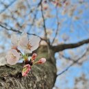 용암3길 이미지