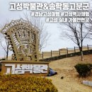 고성박물관 | [경남 고성] 고성박물관 &amp; 송학동고분군 관람 후기 아이와 고성 가볼만한곳 실내 역사문화체험 공간 추천