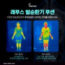 레푸스 이미지