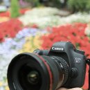 [캐논 DSLR EOS 6D][A.P.Av.Tv.M] 모드만 알면 당신은 이미 카메라 전문가! 이미지