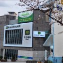 리안헤어 이미지