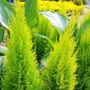 재부 농장 이미지