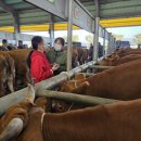 으니농장 이미지