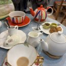 티타임 | 동성로 공주님 놀이 제대로 🫖✨ 홍차 마시며 타로·모루인형·그림까지 즐기는 감성 카페 [티타임]후기