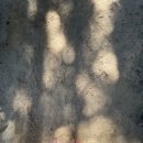 수봉농원 이미지