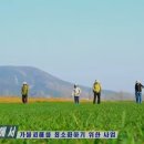 김호식농장 이미지