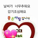 평화의료기 Daum카페